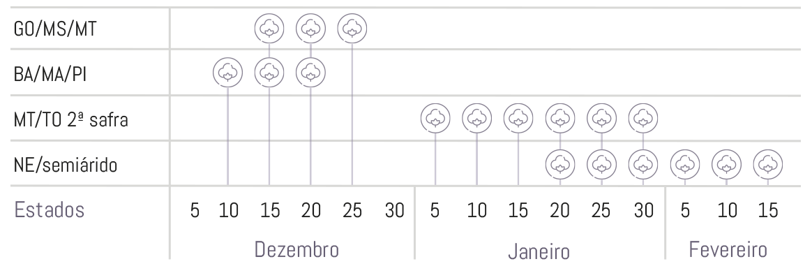 https://istcotton.com.br/wp-content/uploads/2021/08/Epocas-indicadas-416-b2rf.png