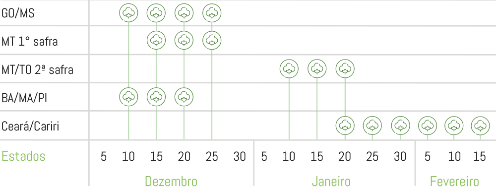 https://istcotton.com.br/wp-content/uploads/2021/08/Epocas-indicadas-433-b2rf.png